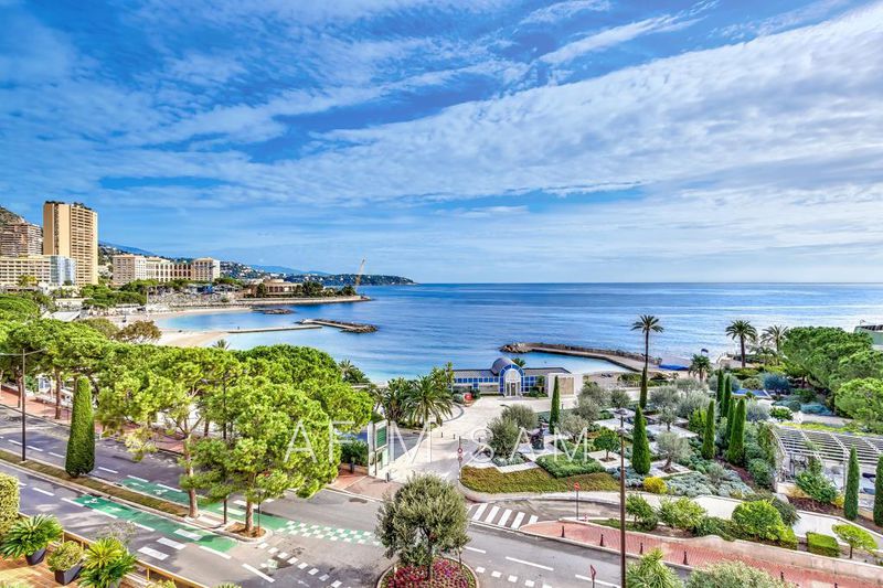 vente Monaco Larvotto Penthouse Monaco Larvotto, to buy penthouse 8 rooms