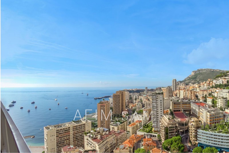vente Monaco Saint roman Apartment Monaco Saint roman, to buy apartment 4 rooms 174 m²