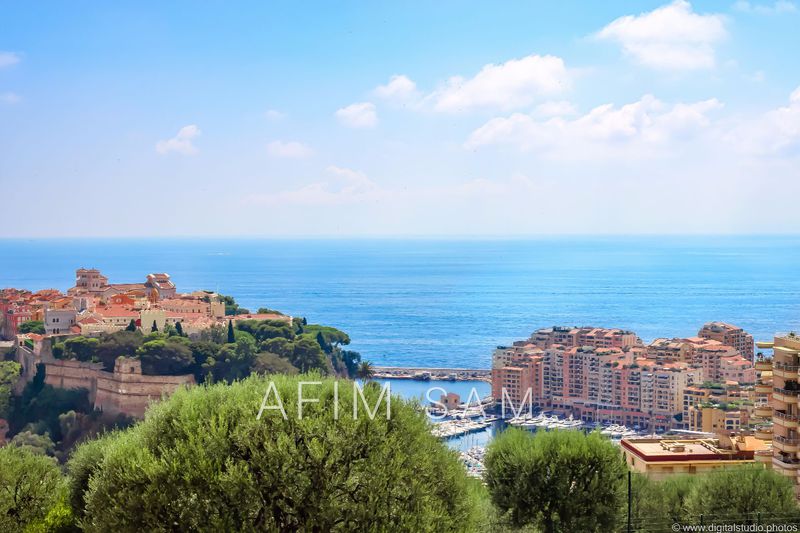 vente Monaco Exotic garden Apartment Monaco Jardin exotique, to buy apartment 450 m²