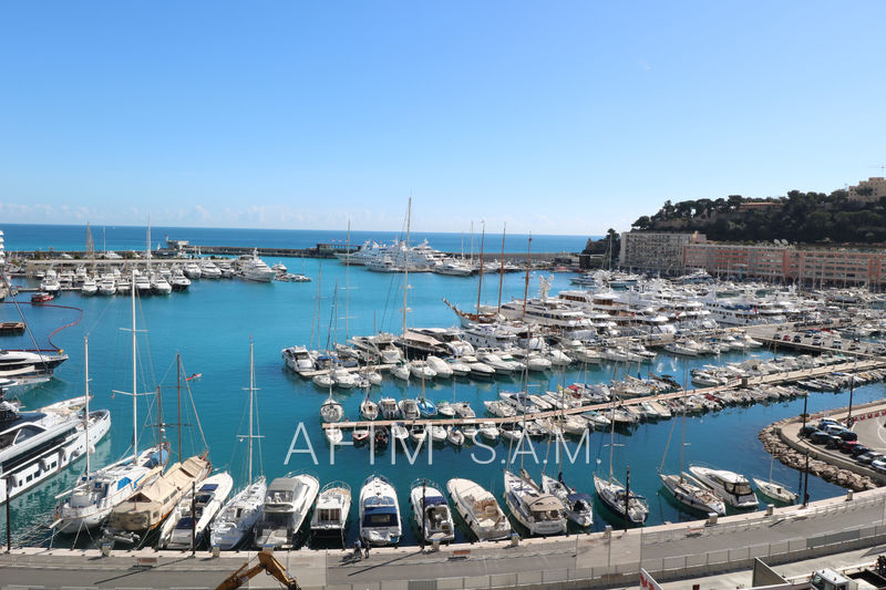 Apartment Monaco Port,   to buy apartment  3 rooms   135&nbsp;m&sup2;