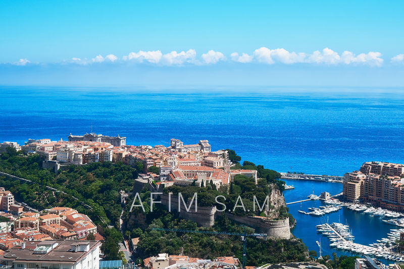vente Monaco Exotic garden Penthouse Monaco Jardin exotique, to buy penthouse 6 rooms