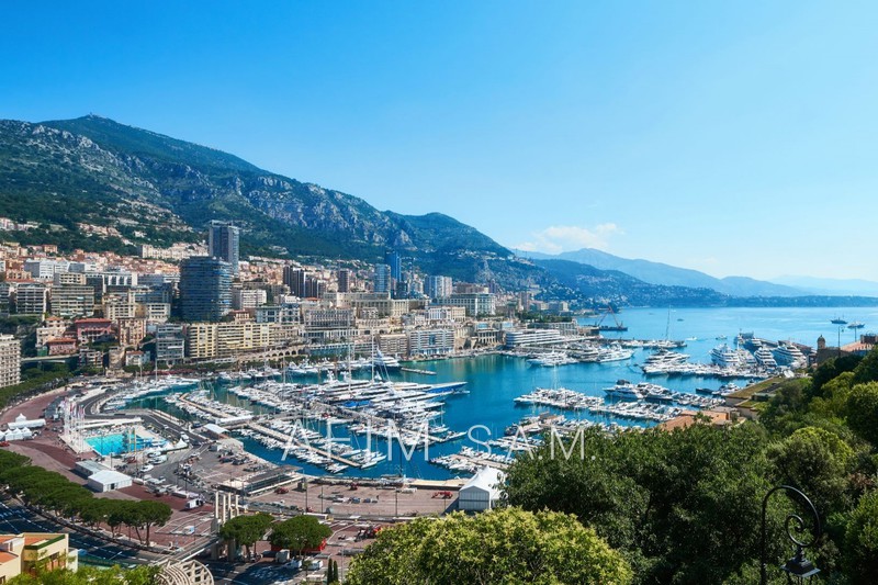 Apartment Monaco Monaco-ville,   to buy apartment  3 rooms   105&nbsp;m&sup2;