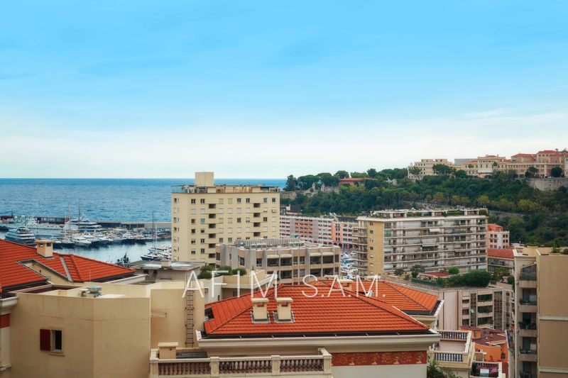 vente Monaco Sans logo Apartment Monaco Sans logo , to buy apartment 4 rooms 193 m²