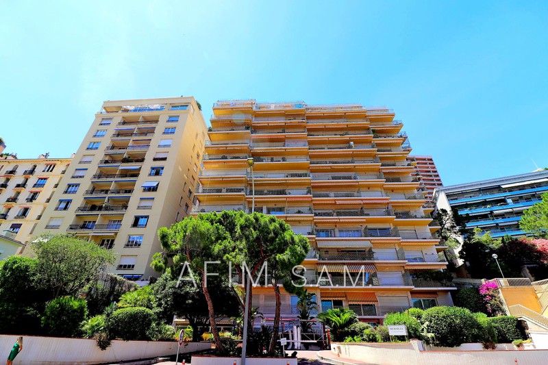 Vente Appartements Vue Mer Monaco Afim