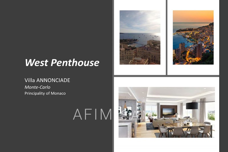 Apartment Monaco   to buy apartment   368&nbsp;m&sup2;