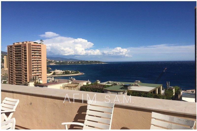 vente Monaco Monte-carlo Apartment Monaco Monte-carlo, to buy apartment 9 rooms 545 m²