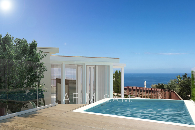 Duplex-roof Monaco Jardin exotique,   to buy duplex-roof  5 rooms   426&nbsp;m&sup2;