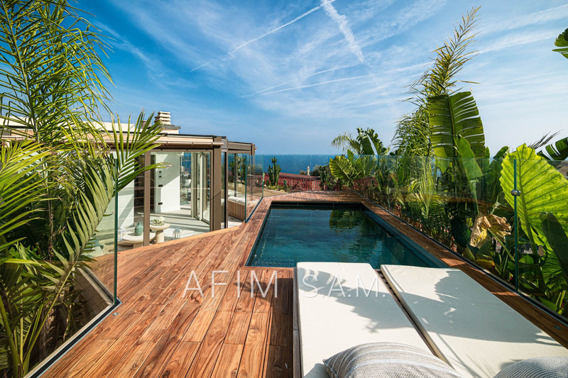 Duplex-roof Monaco Jardin exotique,   achat duplex-roof  5 pièces   426&nbsp;m&sup2;