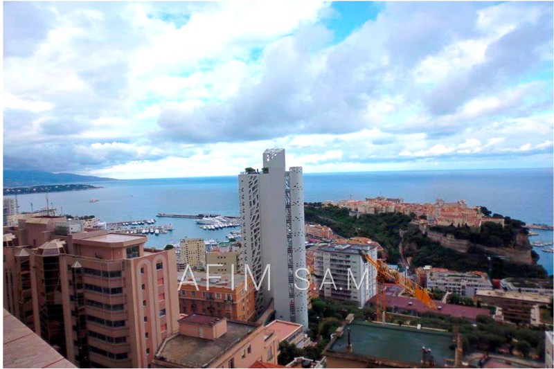 Apartment Monaco Jardin exotique,   to buy apartment  3 rooms   208&nbsp;m&sup2;