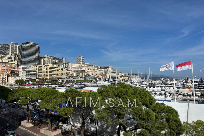 Apartment Monaco Port,   to buy apartment  2 rooms   65&nbsp;m&sup2;