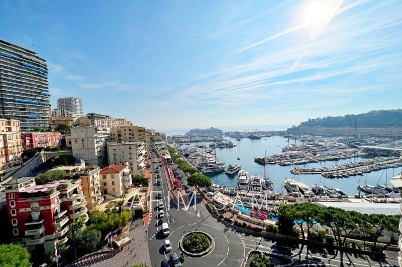 Apartment Monaco Port,   to buy apartment  5 rooms   300&nbsp;m&sup2;