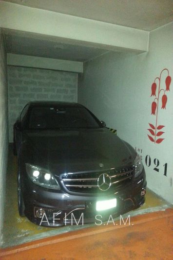 vente Monaco Golden square Parking Monaco Carré d'or, to buy parking