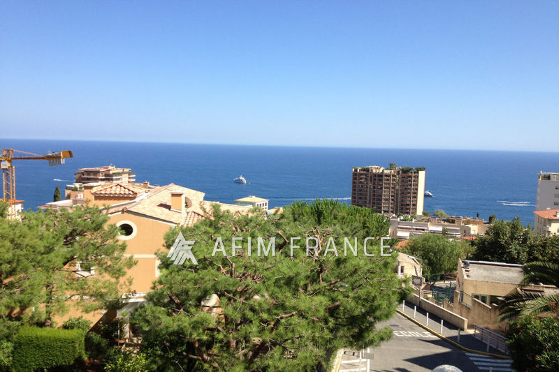Photo Studio Beausoleil St roman, Rentals studio 1 room 26 m²