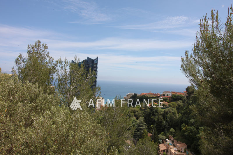 Photo Appartement Beausoleil Moyenne corniche, Location appartement 3 pièces 74 m²