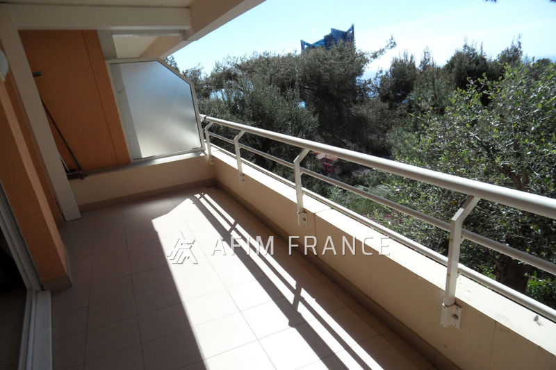 Photo Appartement Beausoleil Moyenne corniche, Location appartement 1 pièce 30 m²