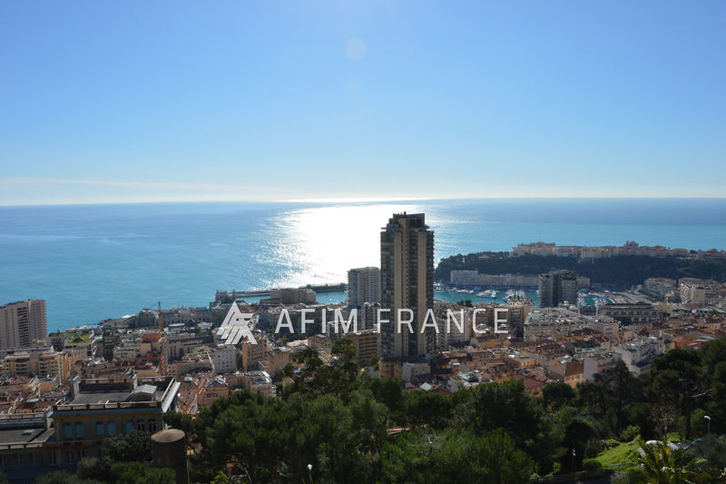 Photo Apartment Beausoleil Moyenne corniche, Rentals apartment 5 rooms 200 m²