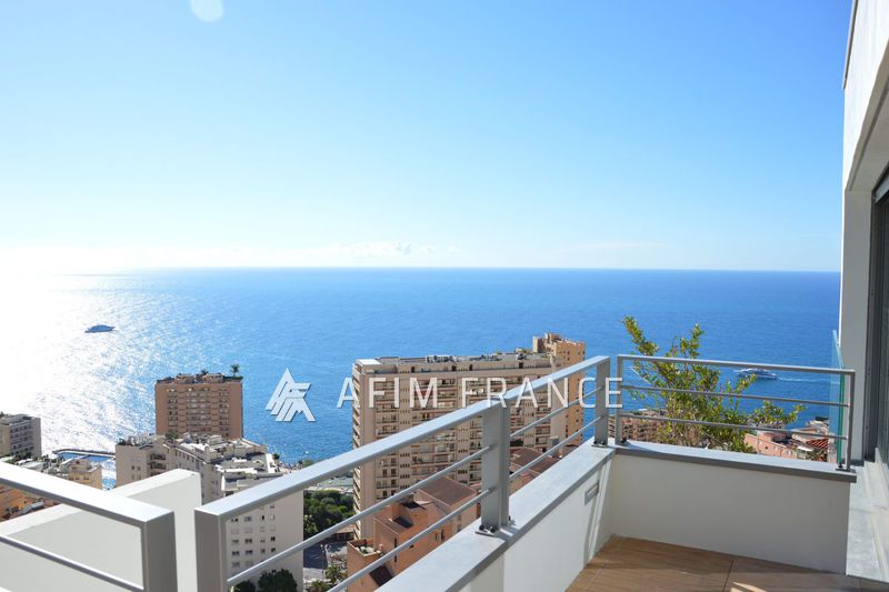 Photo Apartment Beausoleil Centre-ville, Rentals apartment 3 rooms 105 m²