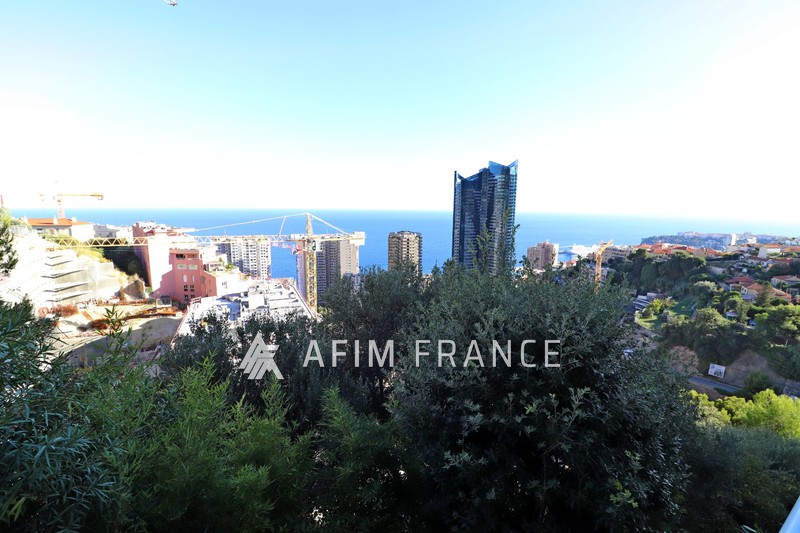 Photo Apartment Beausoleil Moyenne corniche, Rentals apartment 3 rooms 64 m²