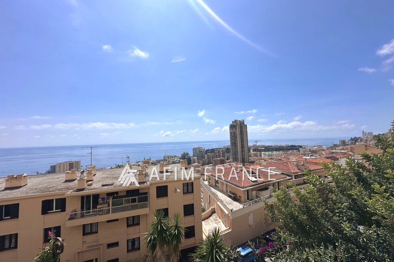 Location saisonnière appartement Beausoleil  