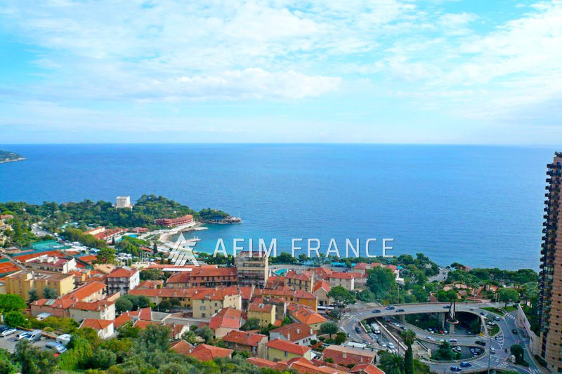 Photo Villa Roquebrune-Cap-Martin St roman, to buy villa 8 rooms 452 m²