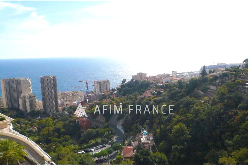 Photo Apartment Beausoleil Moyenne corniche, to buy apartment 3 rooms 88 m²