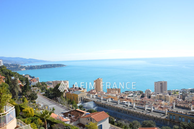 Photo Apartment Beausoleil Moyenne corniche, to buy apartment 5 rooms 150 m²