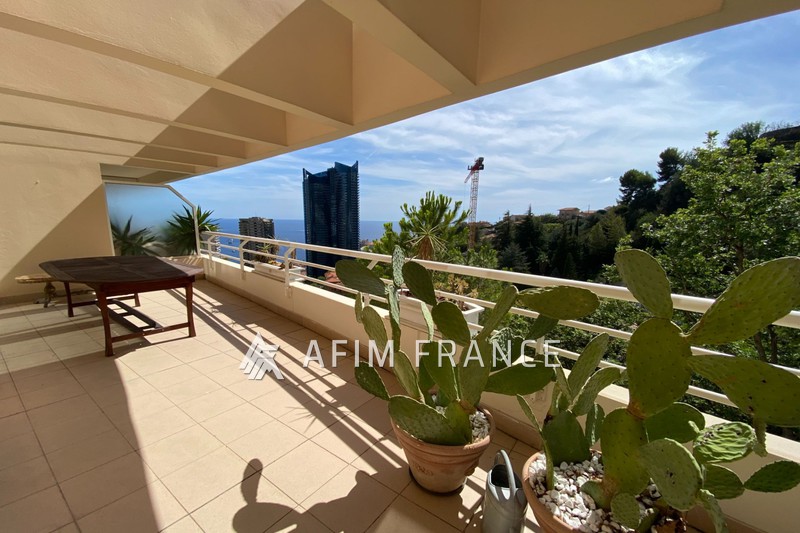 Photo Appartement Beausoleil Moyenne corniche,   achat appartement  3 pièces   81&nbsp;m&sup2;