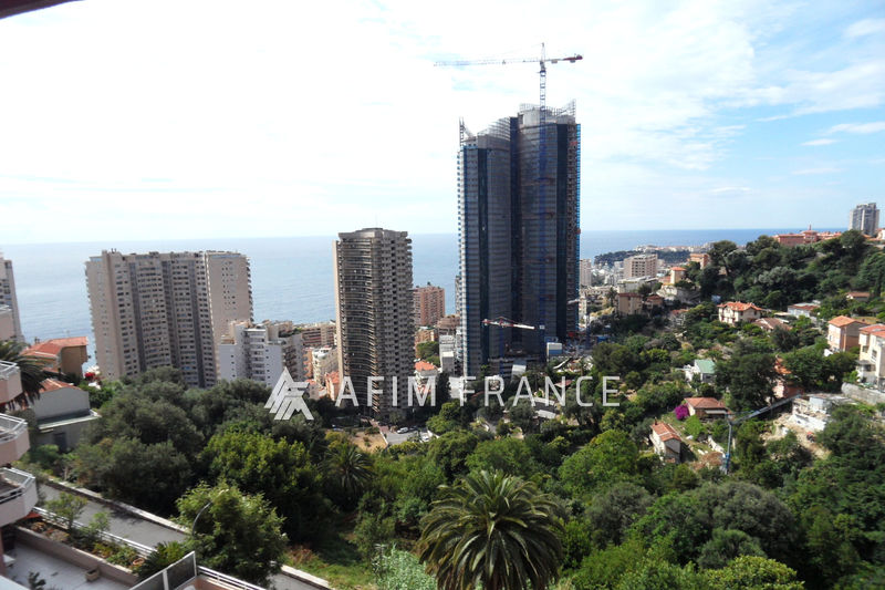 Photo Appartement Beausoleil Guynemer, achat appartement 2 pièces 50 m²