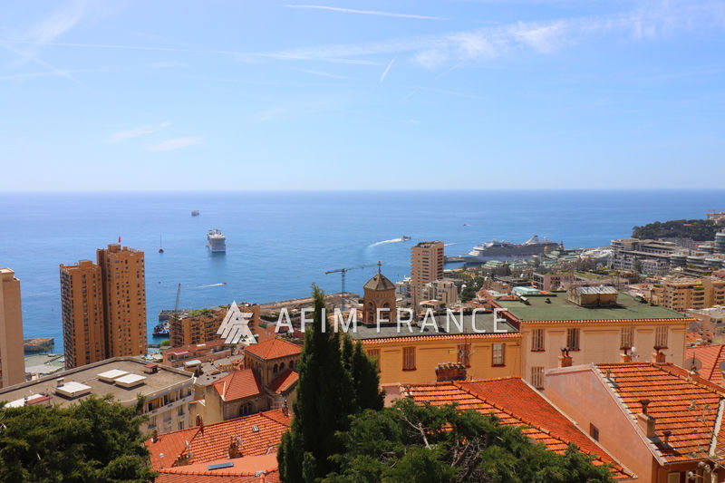 Photo Villa Beausoleil Centre-ville, achat villa 5 chambres 250 m²