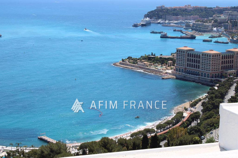 Photo Villa Roquebrune-Cap-Martin Saint roman, achat villa 3 chambres 200 m²