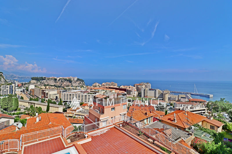 Photo Appartement Cap-d'Ail Hopital princesse grace, achat appartement 3 pièces 88 m²