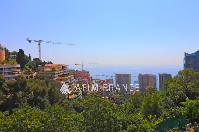 Photo Appartement Beausoleil Moyenne corniche, achat appartement 2 pièces 44 m²