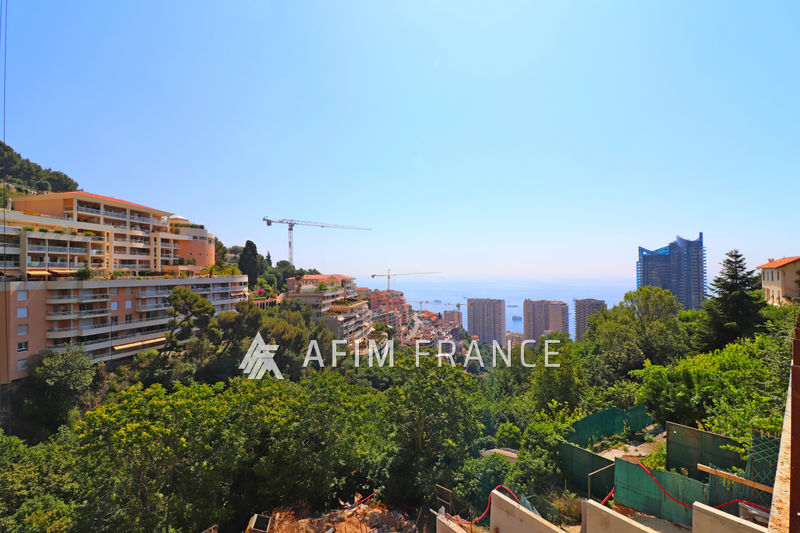 Photo Appartement Beausoleil Moyenne corniche, achat appartement 3 pièces 60 m²