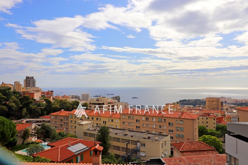 Photo Appartement Beausoleil Moyenne corniche, achat appartement 4 pièces 69 m²