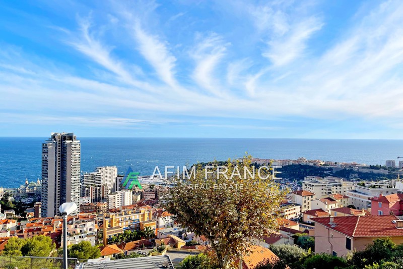 Photo Apartment Beausoleil Moyenne corniche,   to buy apartment  3 rooms   60&nbsp;m&sup2;