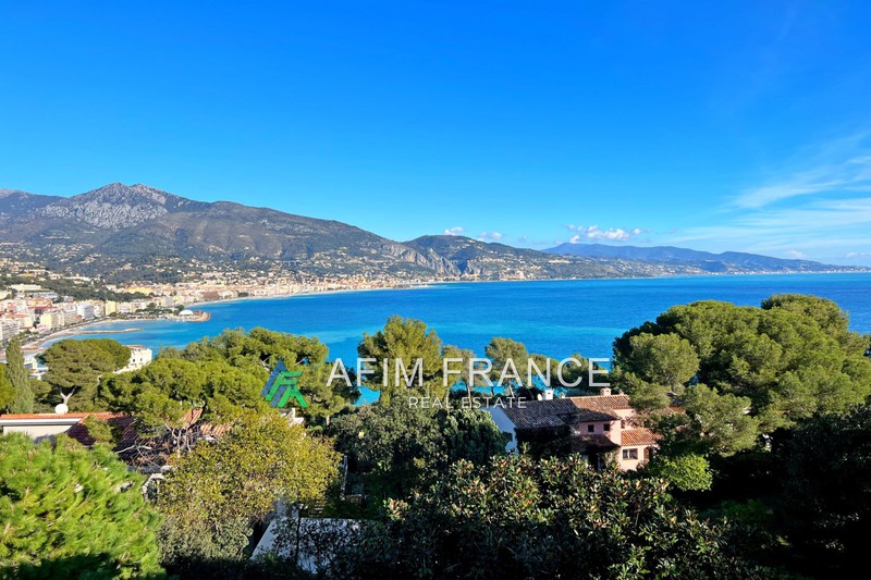 Photo Apartment Roquebrune-Cap-Martin   to buy apartment  2 rooms   44&nbsp;m&sup2;