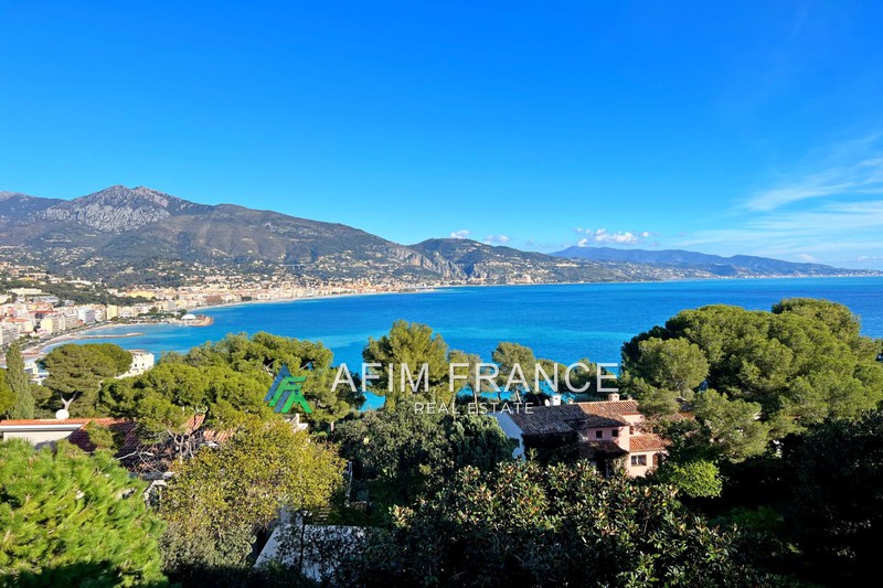 Photo Appartement Roquebrune-Cap-Martin   achat appartement  2 pièces   44&nbsp;m&sup2;