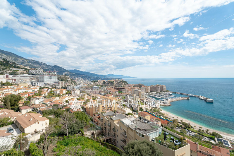 Vente appartement Cap-d'Ail  