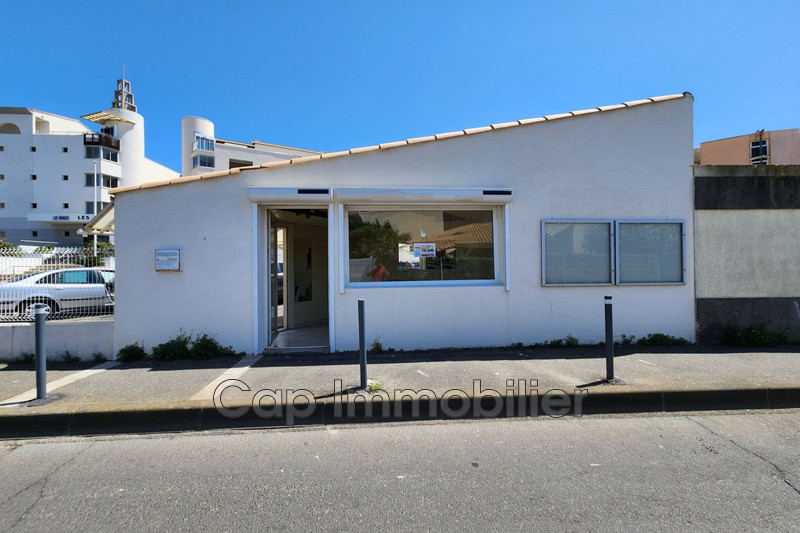 Professionnel murs local professionnel Agde  