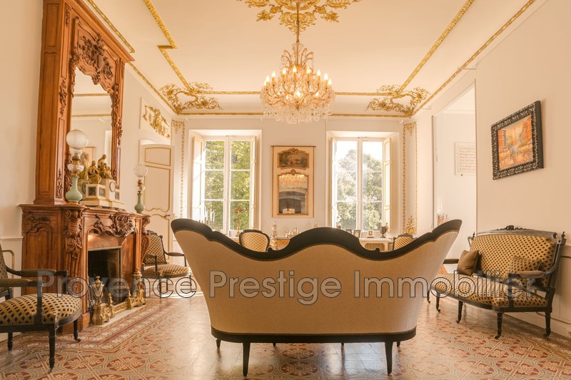 Photo n°9 - Vente Maison château Aix-en-Provence 13100 - 9 500 000 €