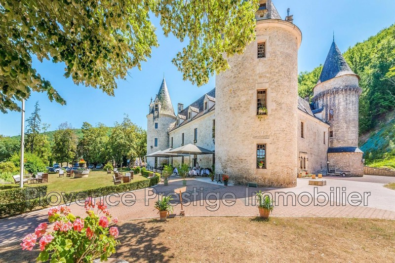 Vente château Montignac  