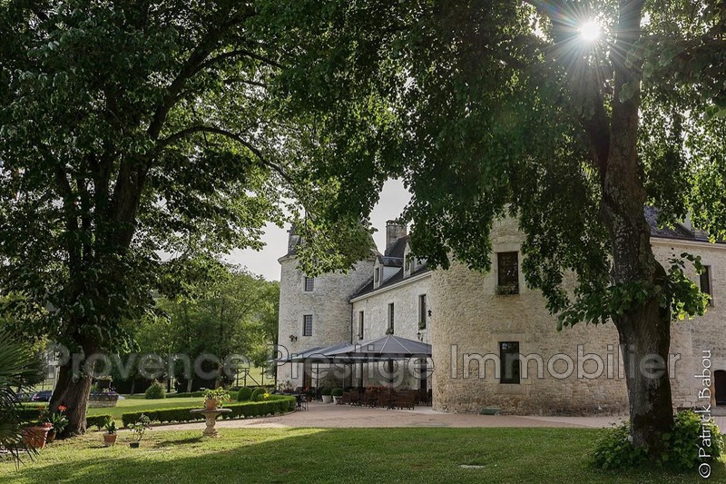 Vente château Montignac  