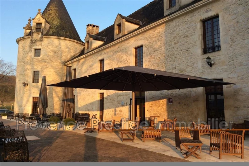 Vente château Montignac  