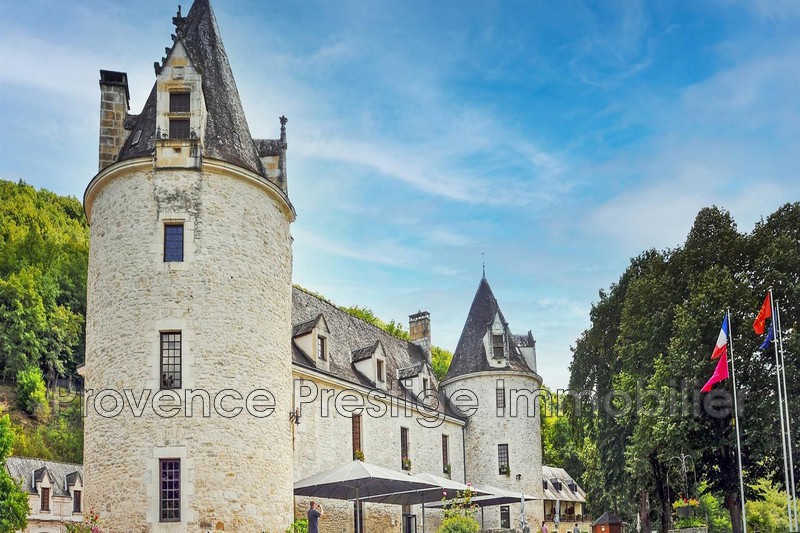 Vente château Montignac  