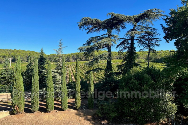 Vente château Aix-en-Provence  