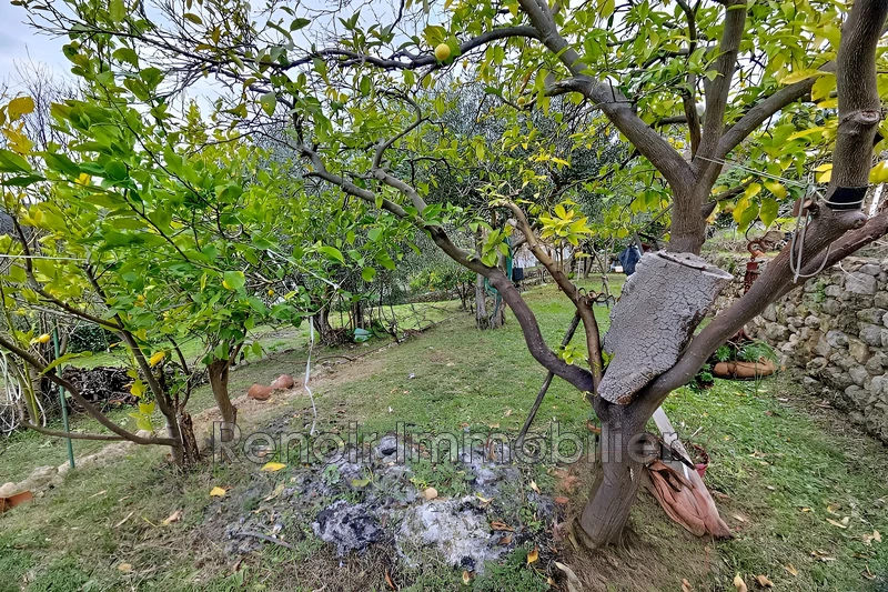 Vente maison Tourrettes-sur-Loup  