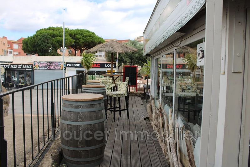 Professionnel  Le Cap d'Agde  