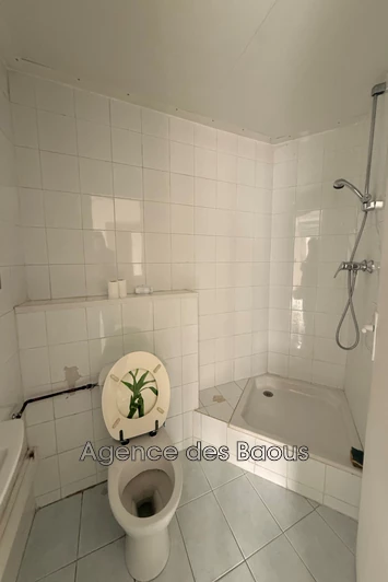 Professionnel local commercial La Gaude  