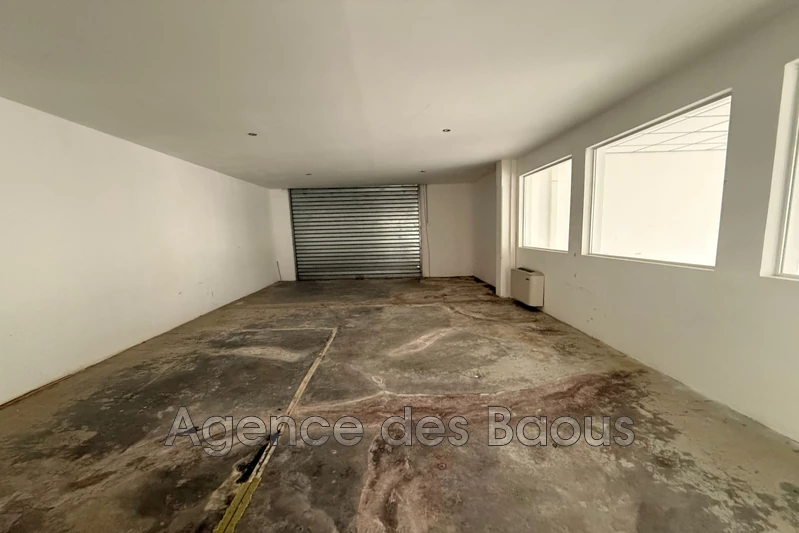 Professionnel local commercial La Gaude  