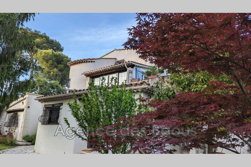 Vente demeure de prestige Saint-Paul-de-Vence  